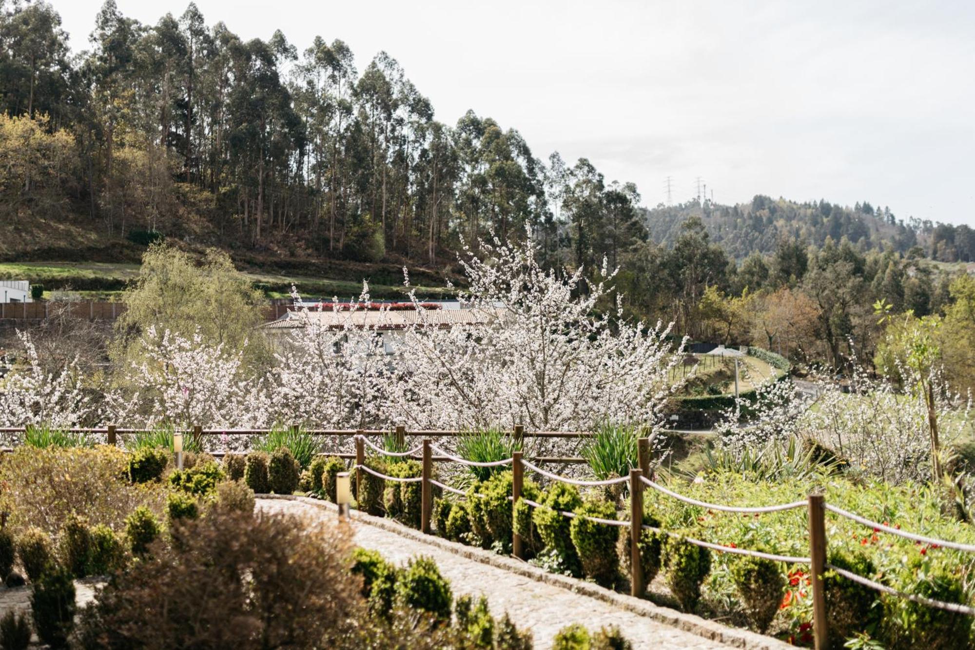 Quinta Do Bento Hotel Vieira do Minho Luaran gambar